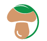 DPG logo image