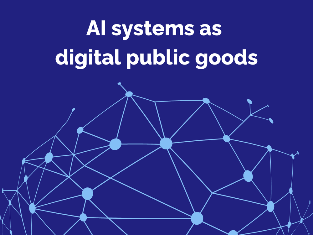 AI systems as digital public goods -  a dive into what this means from a slightly more technical perspective